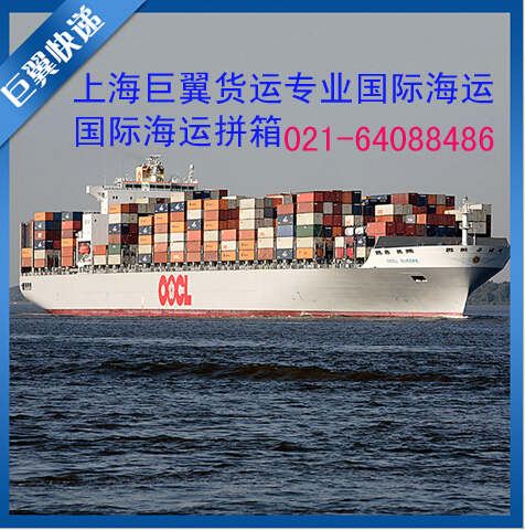 茶葉國(guó)際快遞就找上海巨翼！